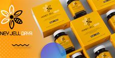 طراحی سایت هانی ژل